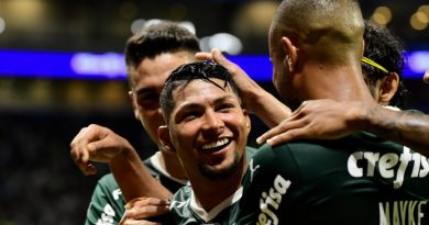 Palmeiras abre vantagem e fica a quatro vitórias de título brasileiro