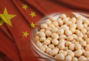Demanda chinesa por soja aumentou 142% em 16 safras